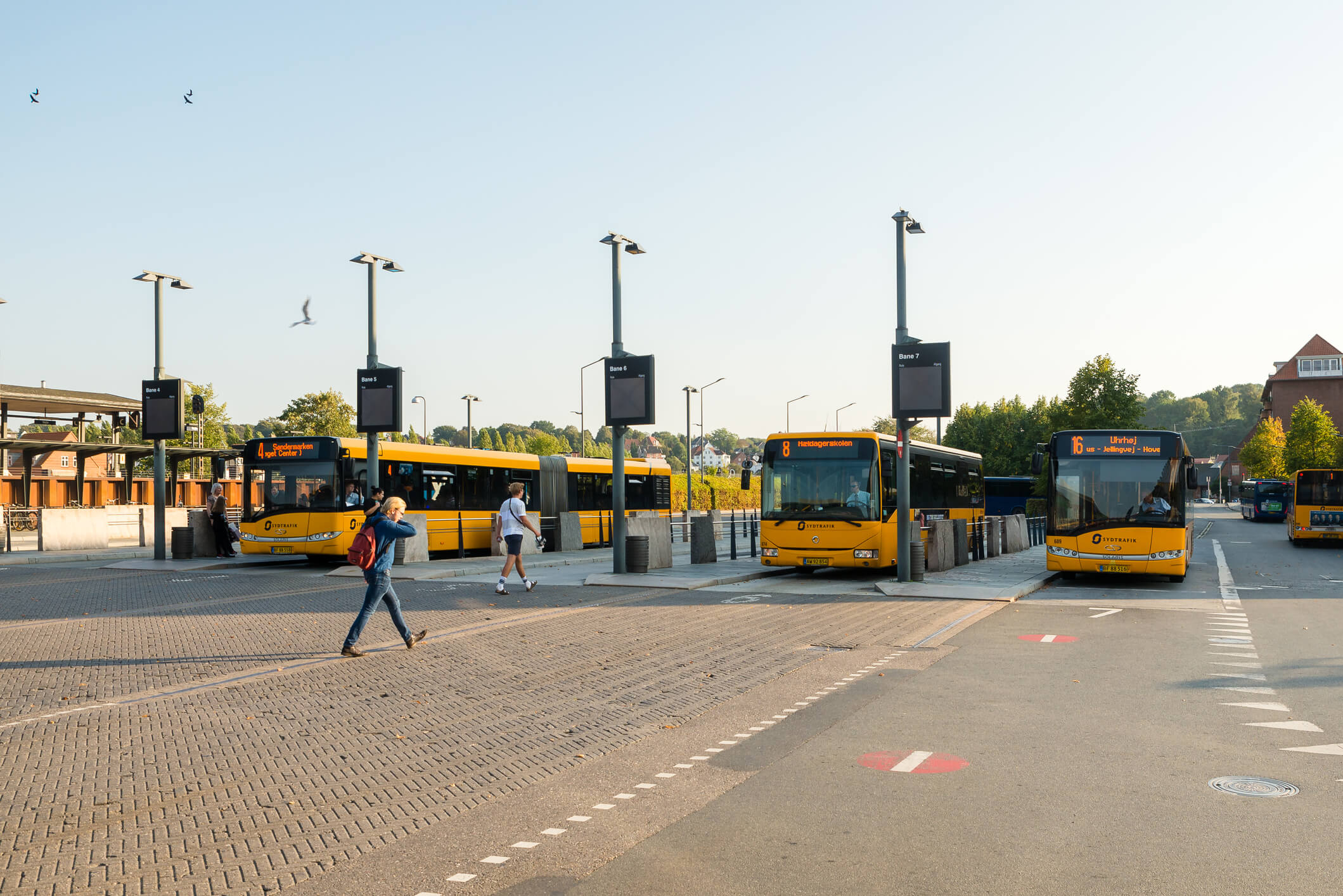 Fælles Opråb: Den Kollektive Trafik Er En Livsnerve, I Ikke Må Slå ...